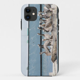 Harbour Friends iPhone 11 Case