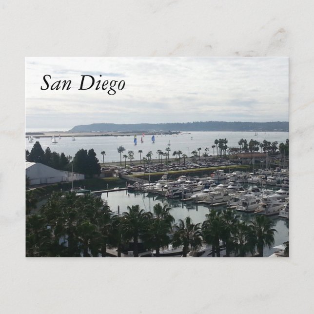 Harbour San Diego CA Postcard (Front)