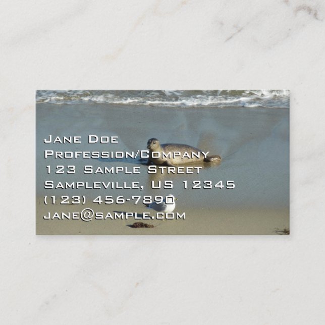 Harbour Seal at La Jolla California Business Card (Front)