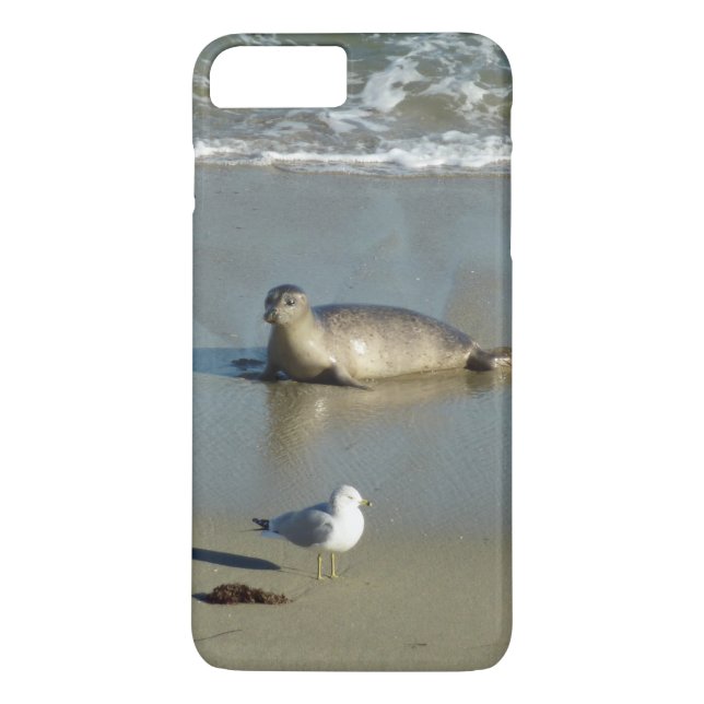 Harbour Seal at La Jolla California Case-Mate iPhone Case (Back)