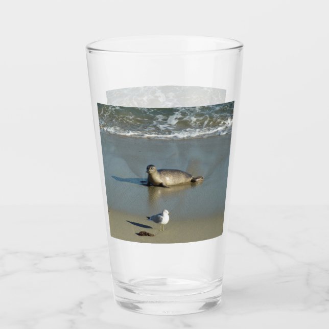 Harbour Seal at La Jolla California Glass (Front)