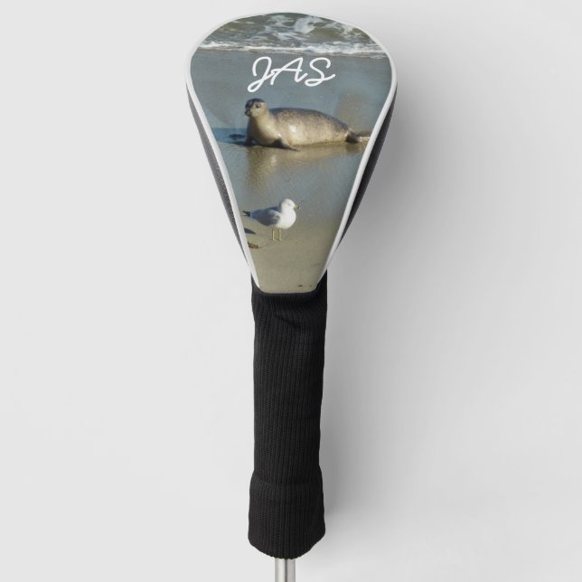 Harbour Seal at La Jolla California Golf Head Cover (Front)