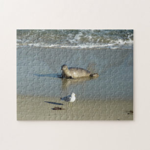Harbour Seal at La Jolla California Jigsaw Puzzle