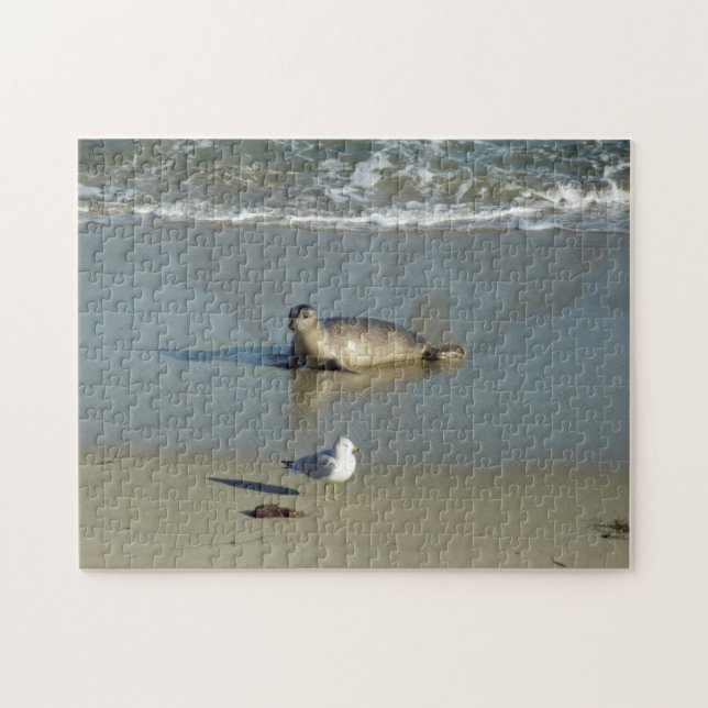 Harbour Seal at La Jolla California Jigsaw Puzzle (Horizontal)