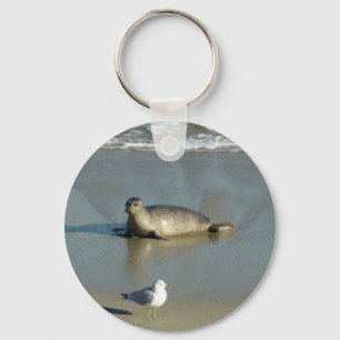 Harbour Seal at La Jolla California Keychain