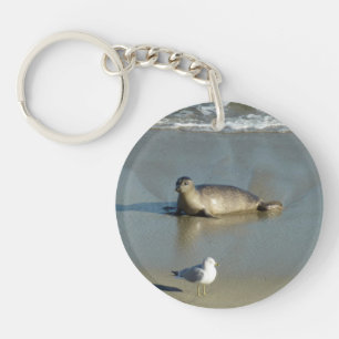Harbour Seal at La Jolla California Keychain