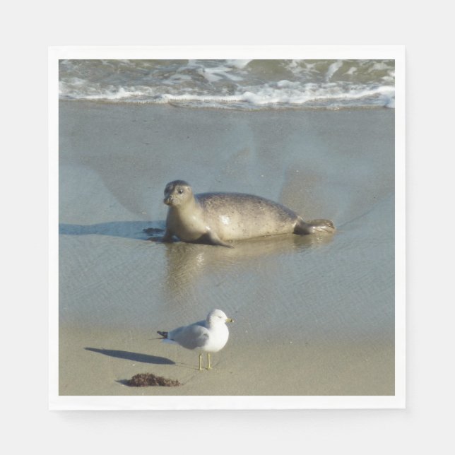 Harbour Seal at La Jolla California Napkin (Front)