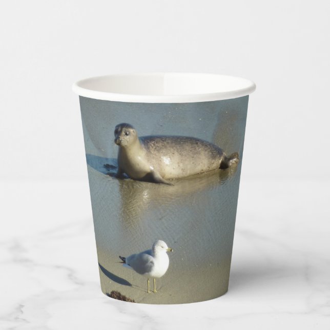 Harbour Seal at La Jolla California Paper Cups (Left)