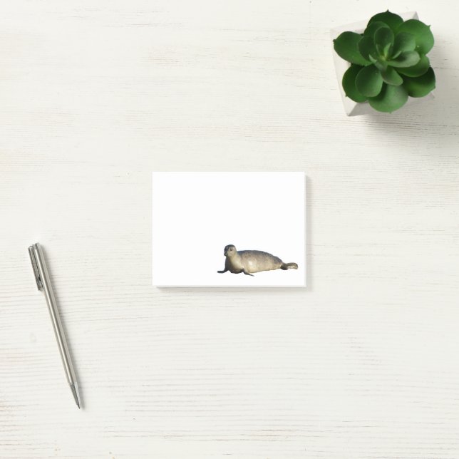 Harbour Seal at La Jolla California Post-it Notes (Office)