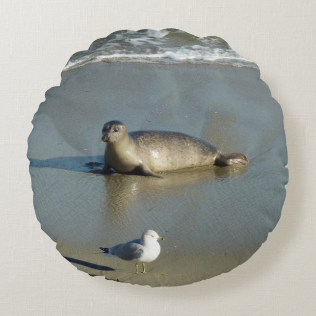 Harbour Seal at La Jolla California Round Pillow (Front)
