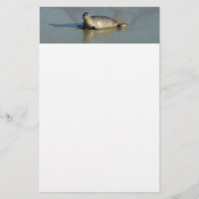 Harbour Seal at La Jolla California Stationery (Front)