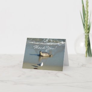 Harbour Seal at La Jolla California Thank You Card