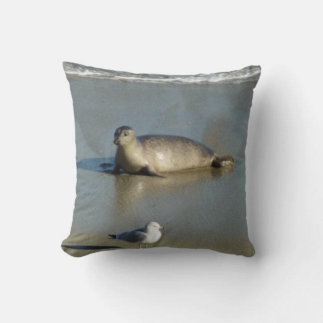 Harbour Seal at La Jolla California Throw Pillow (Front)