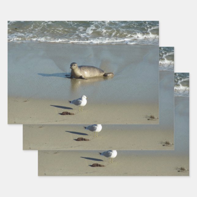Harbour Seal at La Jolla California Wrapping Paper Sheet (Set)