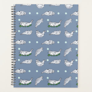 Harbour Seal Planner