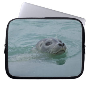 Harbour Seal swimming in Jokulsarlon glacial lake Laptop Sleeve