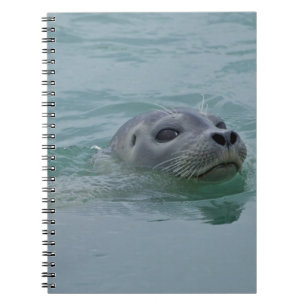 Harbour Seal swimming in Jokulsarlon glacial lake Notebook