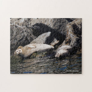 Harbour Seals Basking in the Summer Sun Jigsaw Puzzle