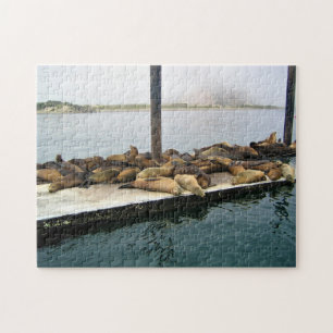 Harbour Seals, Morro Bay, California Jigsaw Puzzle