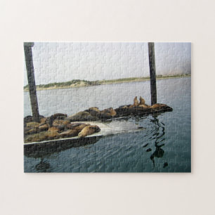 Harbour Seals, Morro Bay, California Jigsaw Puzzle