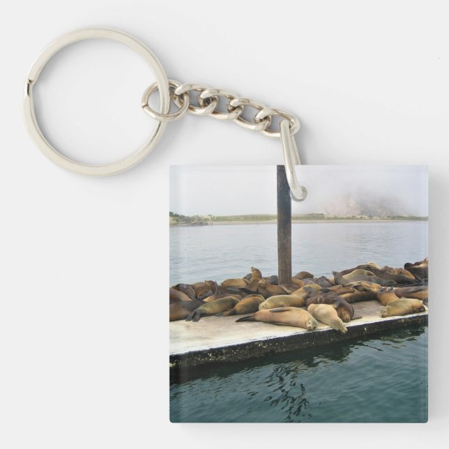 Harbour Seals, Morro Bay, California Keychain (Front)
