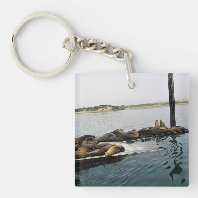 Harbour Seals, Morro Bay, California Keychain (Front)