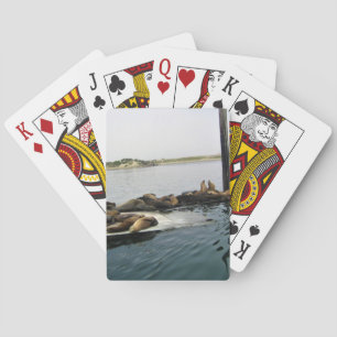 Harbour Seals, Morro Bay, California Playing Cards