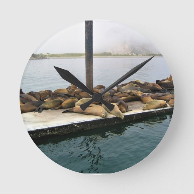Harbour Seals, Morro Bay, California Round Clock (Front)