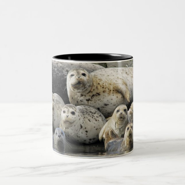 Harbour Seals Two-Tone Coffee Mug (Center)