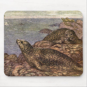Harbour Seals, Vintage Marine Life Ocean Animals Mouse Pad