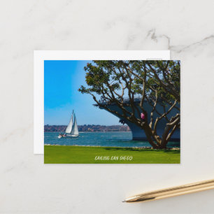 Harbour Views - Sailing San Diego Postcard