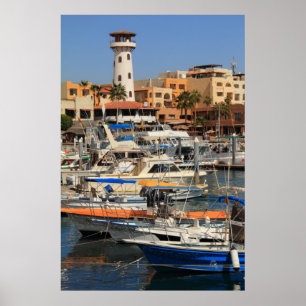 Harbour waterfront in Cabo San Lucas Poster