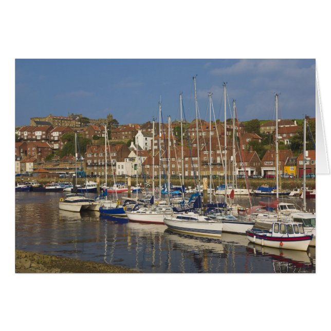 Harbour, Whitby, North Yorkshire, England (Front Horizontal)