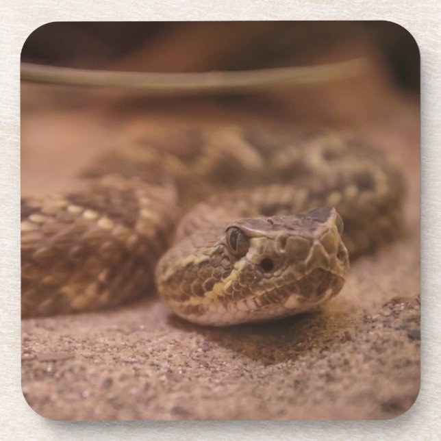 Hard plastic coaster (Front)