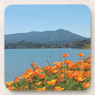 Hard plastic coaster set Mt Tamalpais Poppies 