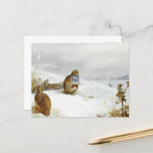 Hard times- partridges and a hare, Art Birds Holiday Postcard