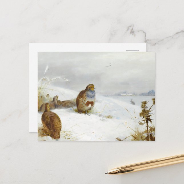 Hard times- partridges and a hare, Art Birds Holiday Postcard (Front/Back In Situ)