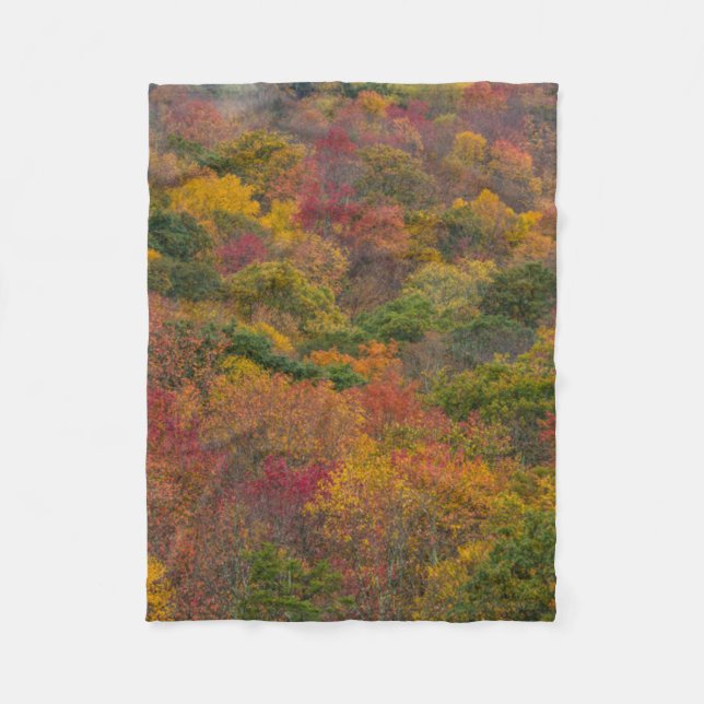 Hardwood Forest in Randolph County, West Virginia Fleece Blanket (Front)