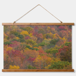 Hardwood Forest in Randolph County, West Virginia Hanging Tapestry