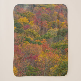 Hardwood Forest in Randolph County, West Virginia Sherpa Blanket