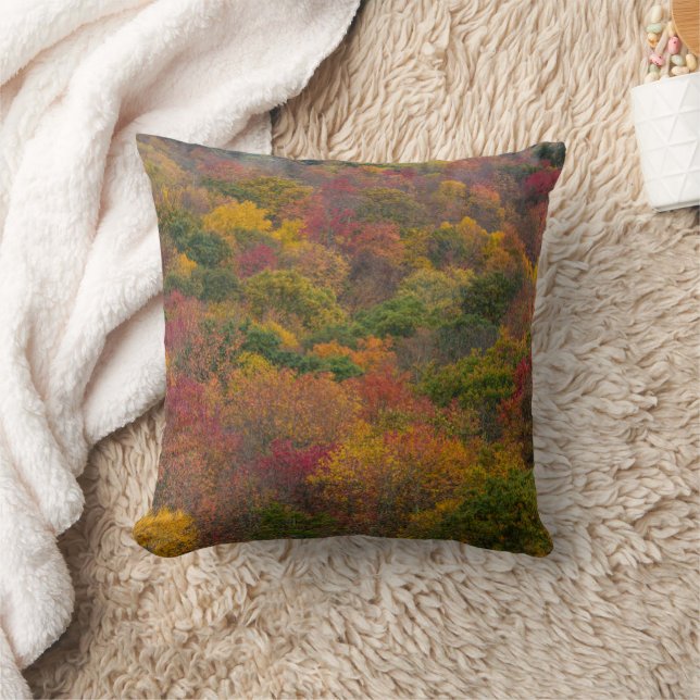 Hardwood Forest in Randolph County, West Virginia Throw Pillow (Blanket)