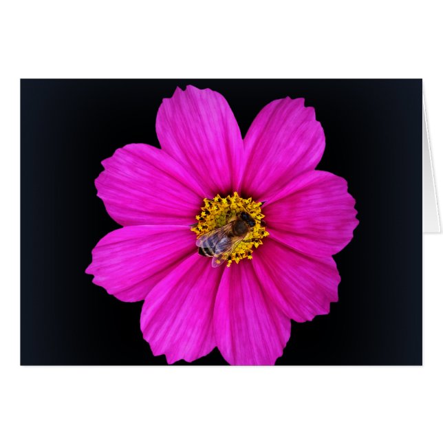 hardworking bee (Front Horizontal)