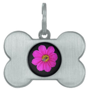 hardworking bee pet tag