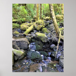 Hardy Creek Poster