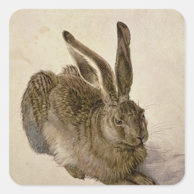 Hare, 1502 square sticker (Front)