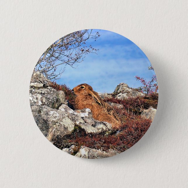 HARE 2 INCH ROUND BUTTON (Front)