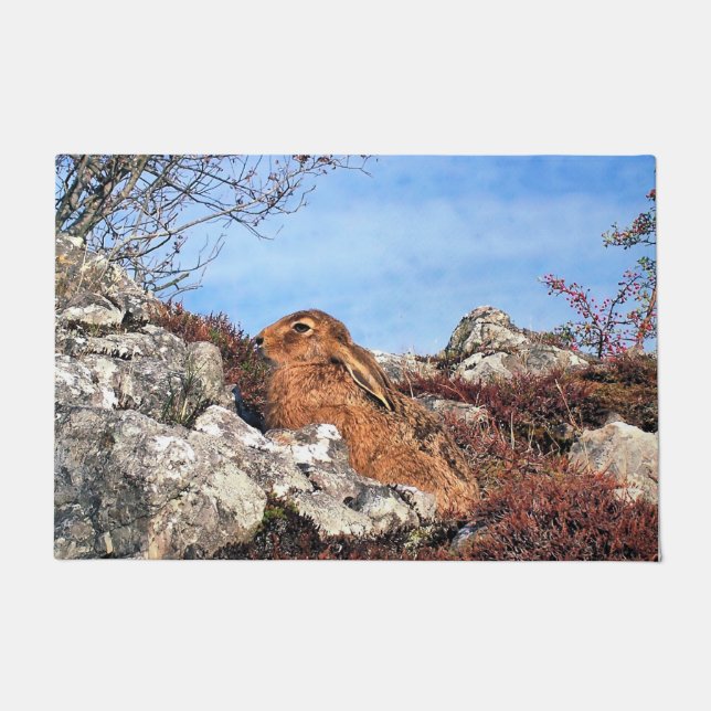 HARE  DOORMAT (Front)