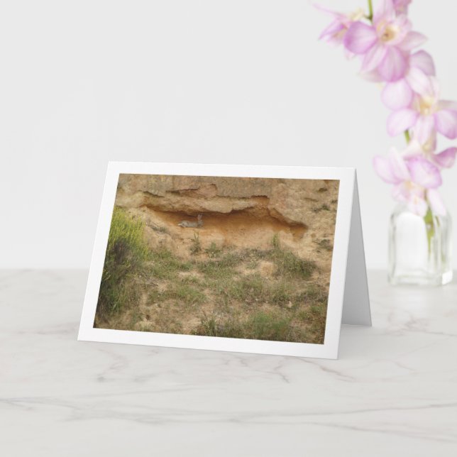 Hare in Canyon Cave Card (Orchid)