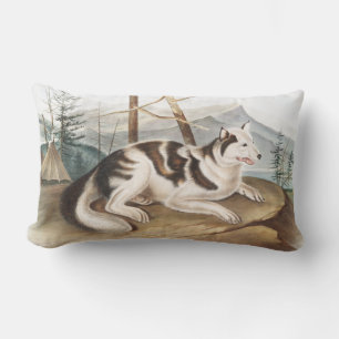 Hare Indian Dog (Canis familiaris) Illustration Lumbar Pillow