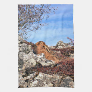HARE KITCHEN TOWEL
